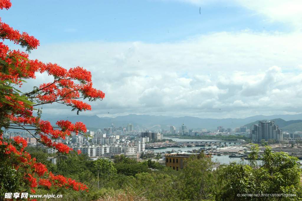 风景
