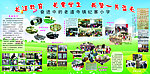 小学照片展板