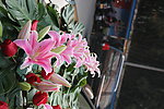 百合花