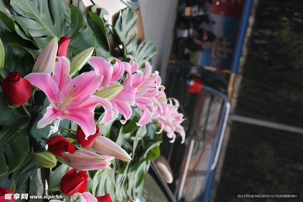 百合花