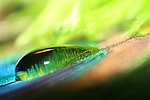 水珠