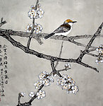 梅花小鸟