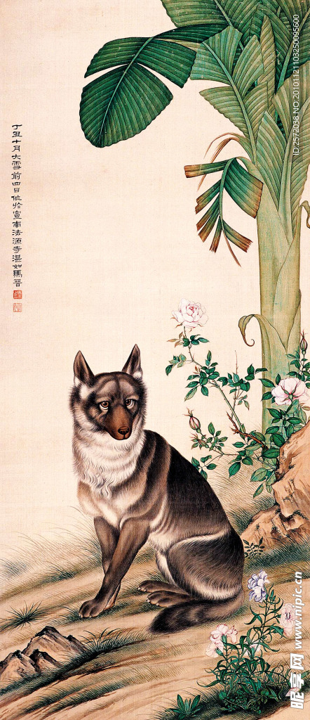 狼狗图