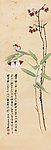 花鸟小品