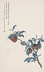 杏子树