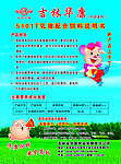 华康5101