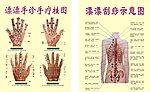 手诊背诊