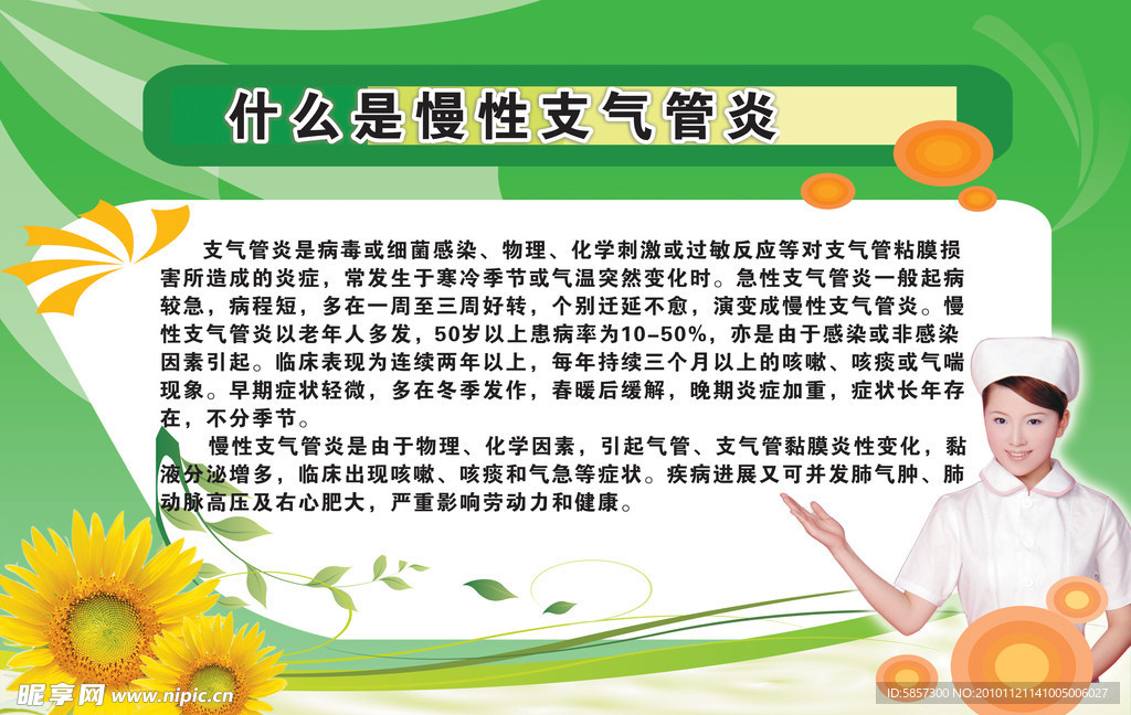 支气管炎展板