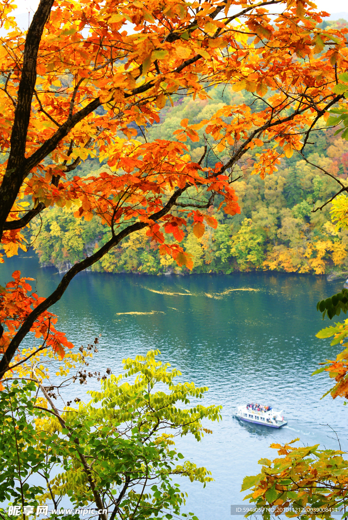 龙湾美景