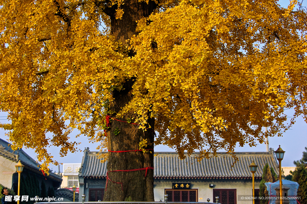 法海寺