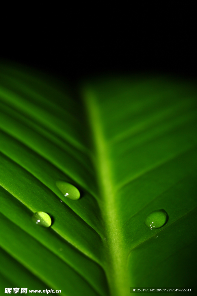 水珠