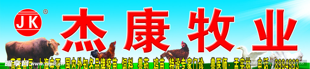 牛 羊 鸡