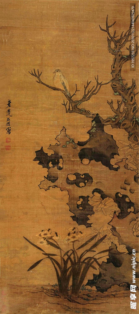 寒鸟