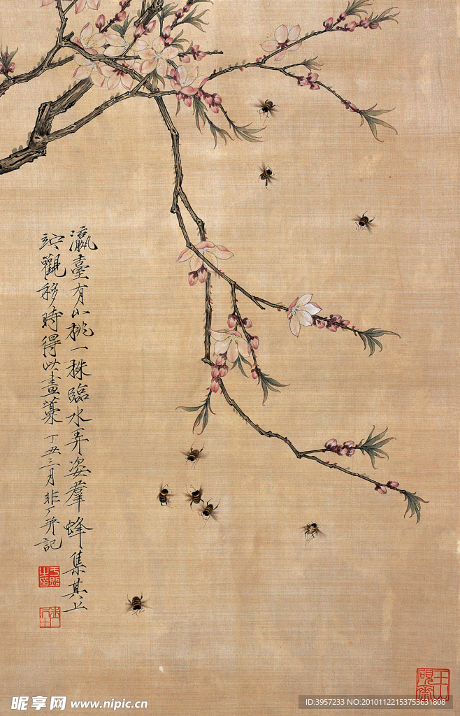 花蕊