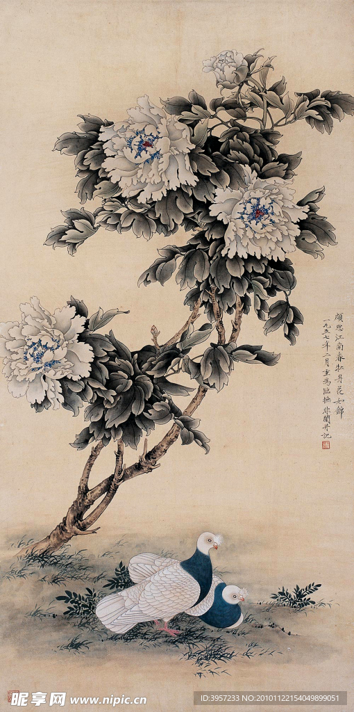 双鸽