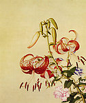 百合花缠枝牡丹图
