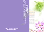 菜谱封面
