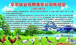 家禽广告门头