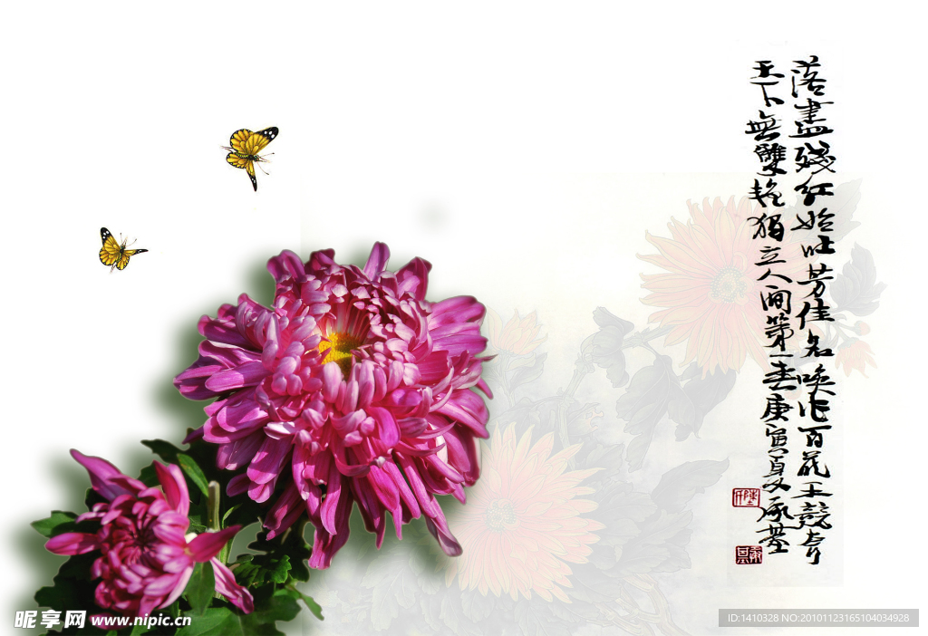 画意菊花