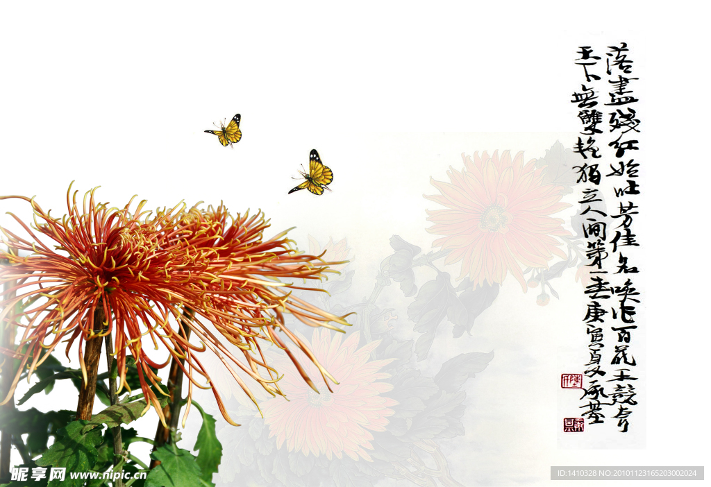 画意菊花