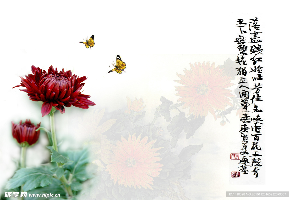 画意菊花