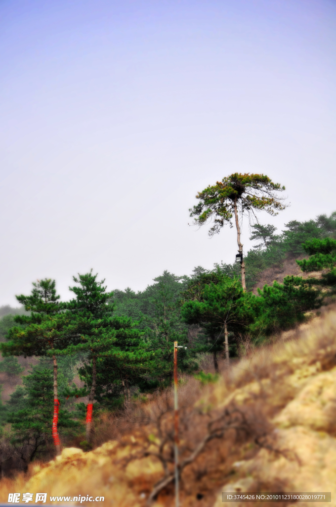 远山