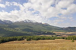 自然风光 森林 山景