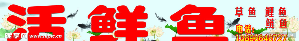 活鲜鱼 荷花 鱼