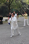 晨练 太极