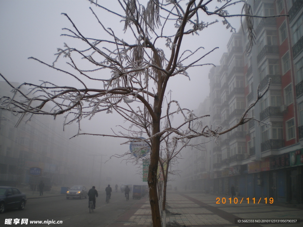 雾中街景