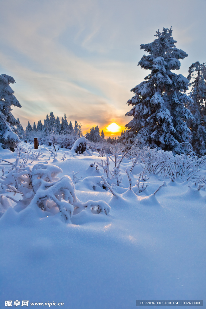 冬季雪景高清图片