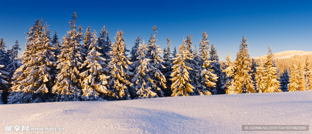 冬季雪景高清图片