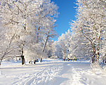 冬季雪景高清图片