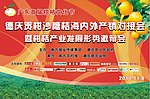 德庆贡柑 沙糖桔文化节