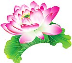 荷花素材