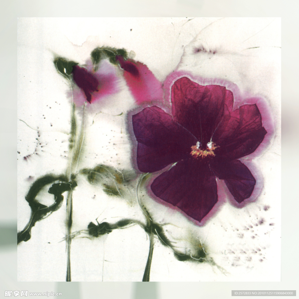 花卉