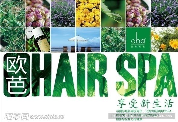 hairspa海报
