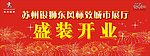 东标开业背景