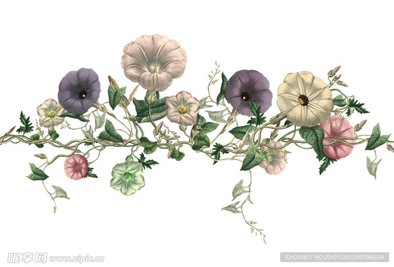手绘花