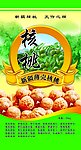 新疆薄壳核桃