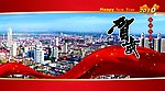 2010普卡
