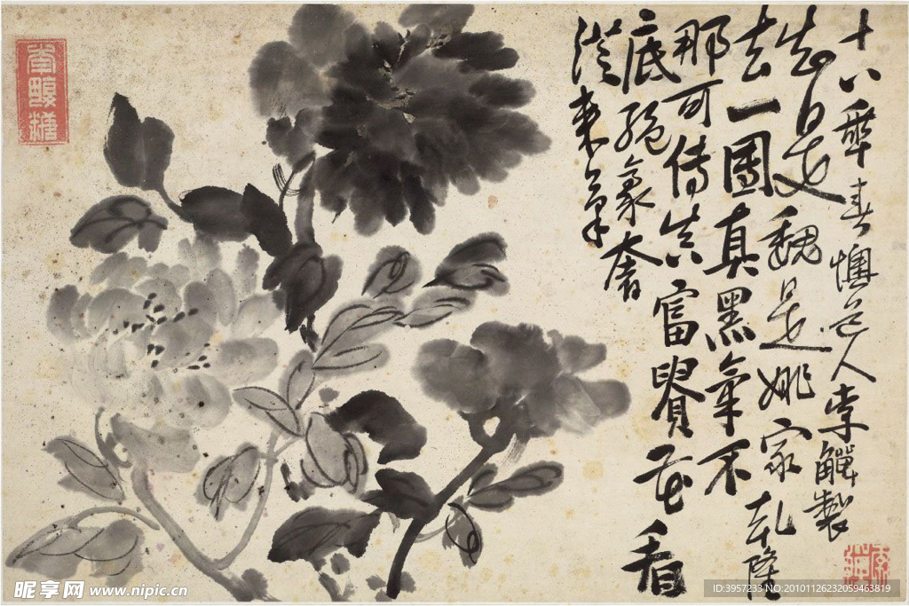 花鸟十二开