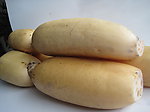 莲藕