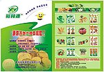 彩页宣传