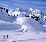 冬季雪景高清图片