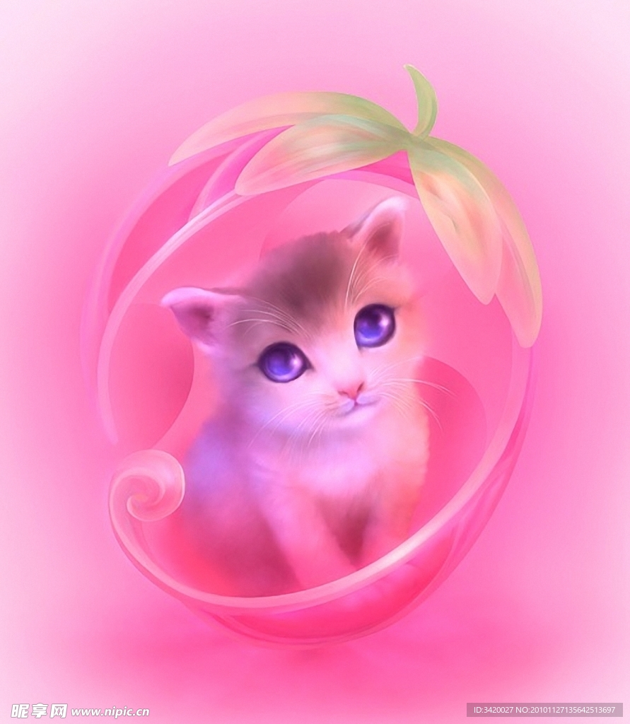猫咪
