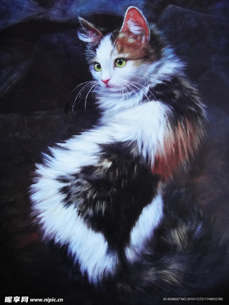 小猫