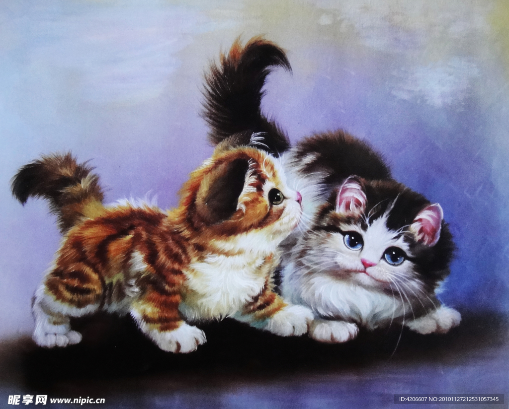 小猫