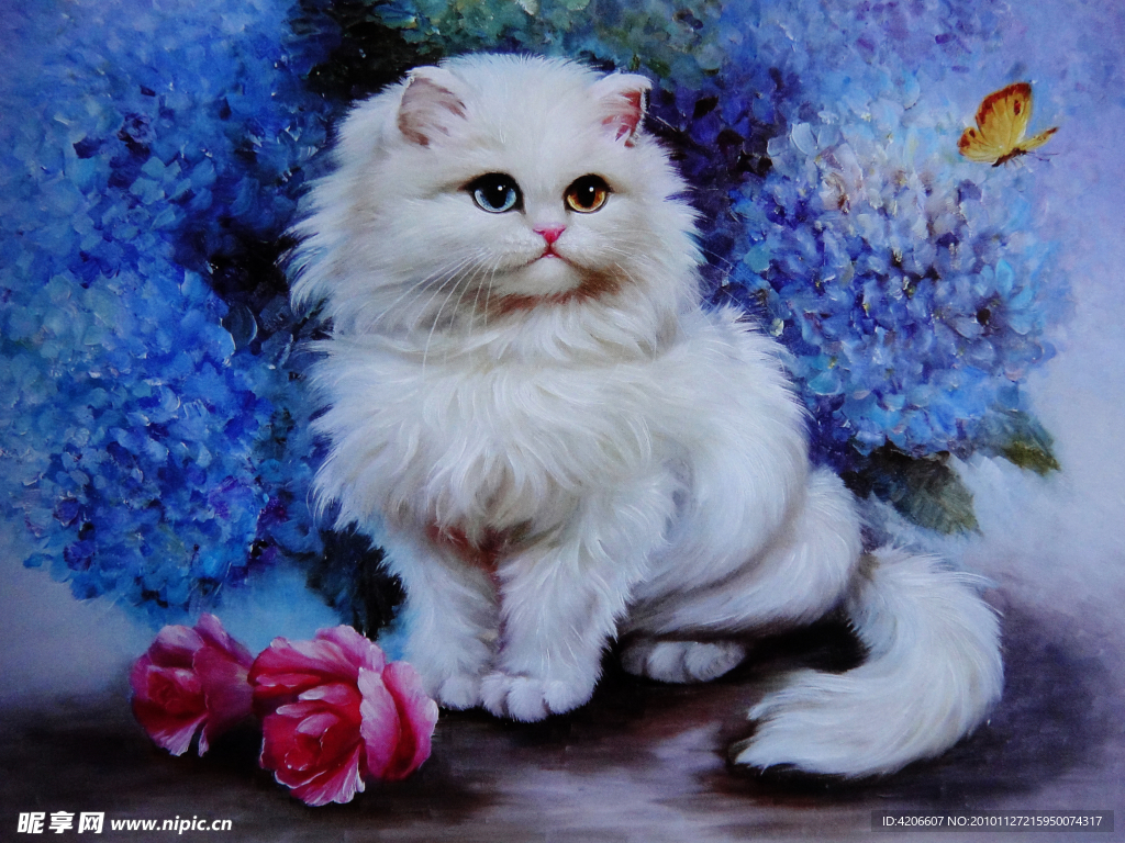小猫