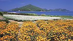 自然风光 山川
